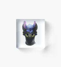 Stitch on Toothless Acrylic Block