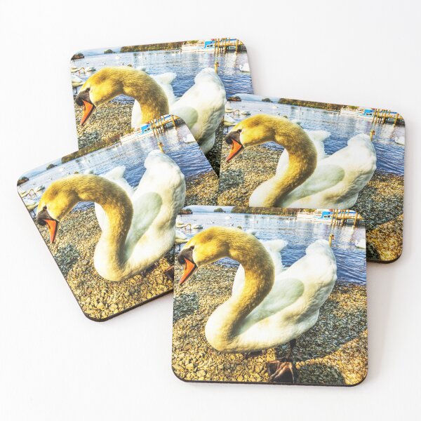 Item preview, Shy Windermere Swan designed and sold by Paul Thompson Photography.