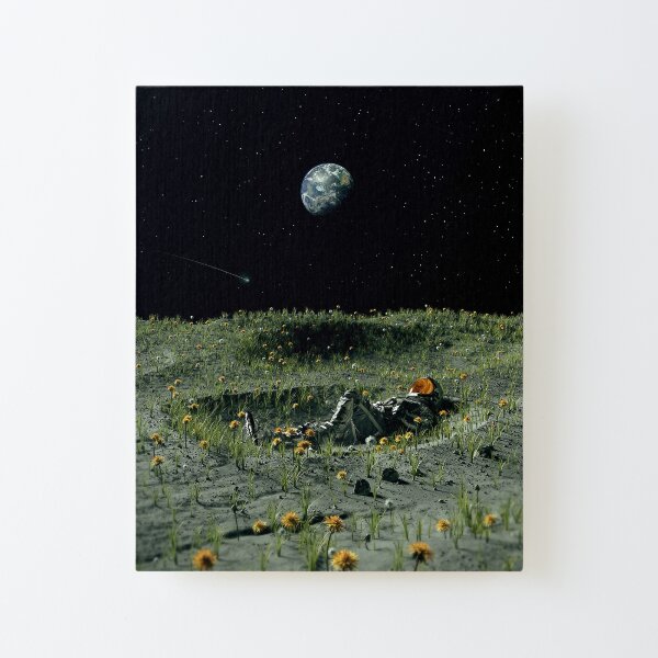 A New Home Canvas Mounted Print