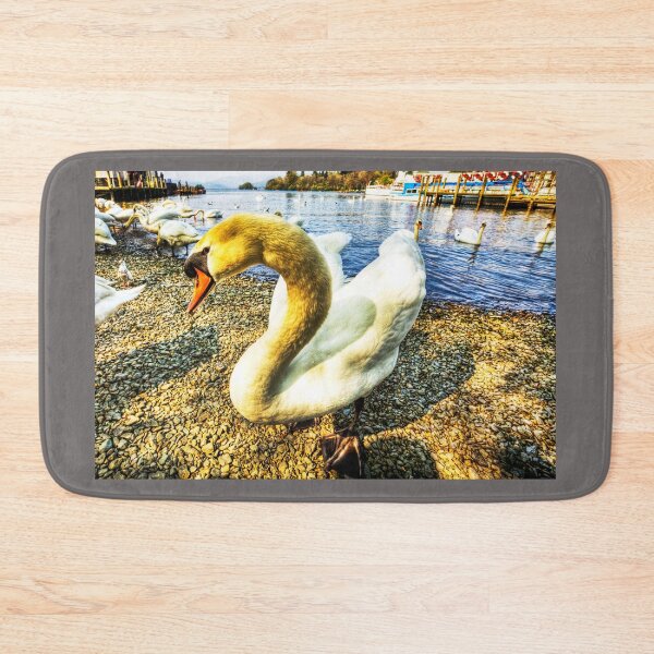Item preview, Shy Windermere Swan designed and sold by Paul Thompson Photography.