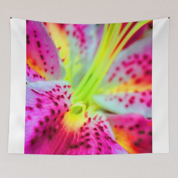 Item preview, Pink Lily Lilium Herbaceous Flowering Plants designed and sold by AndyEvansPhotos.