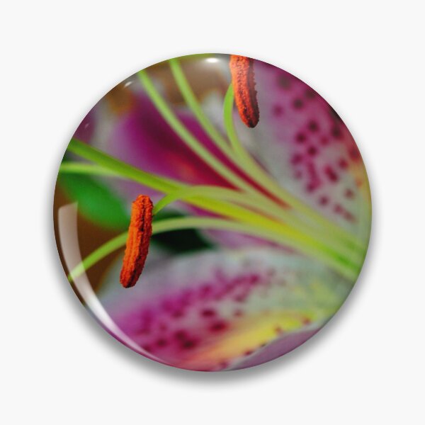 Item preview, Pink Lily Lilium Herbaceous Flowering Plants designed and sold by AndyEvansPhotos.