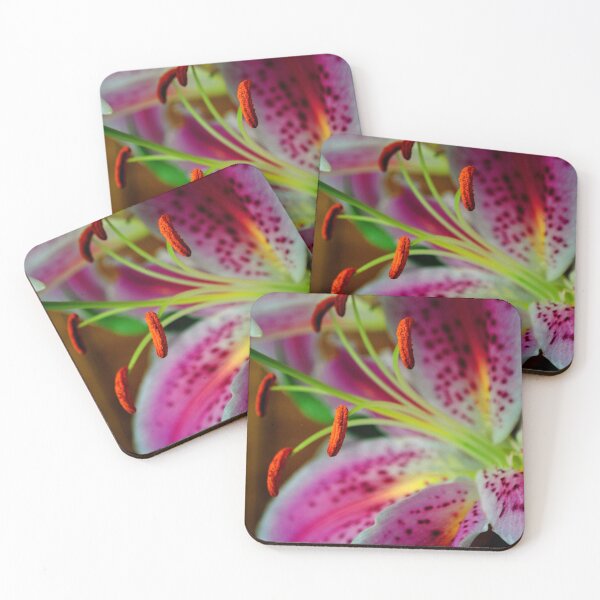 Item preview, Pink Lily Lilium Herbaceous Flowering Plants designed and sold by AndyEvansPhotos.