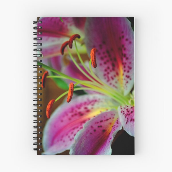 Item preview, Pink Lily Lilium Herbaceous Flowering Plants designed and sold by AndyEvansPhotos.