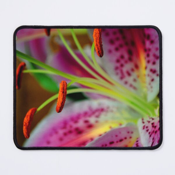 Item preview, Pink Lily Lilium Herbaceous Flowering Plants designed and sold by AndyEvansPhotos.