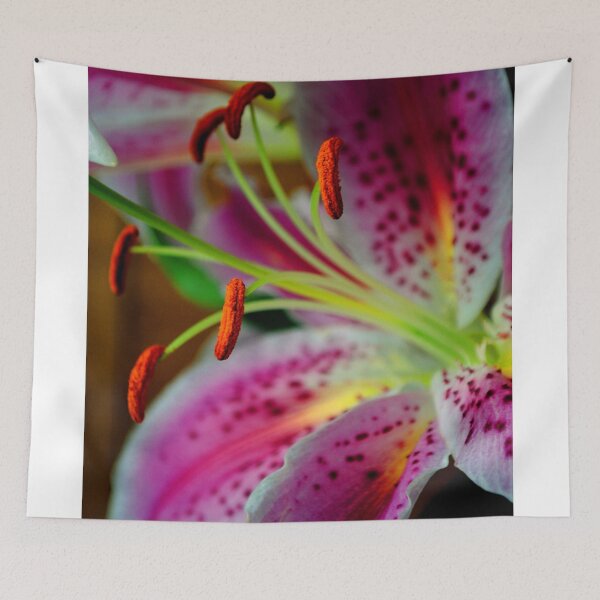 Item preview, Pink Lily Lilium Herbaceous Flowering Plants designed and sold by AndyEvansPhotos.