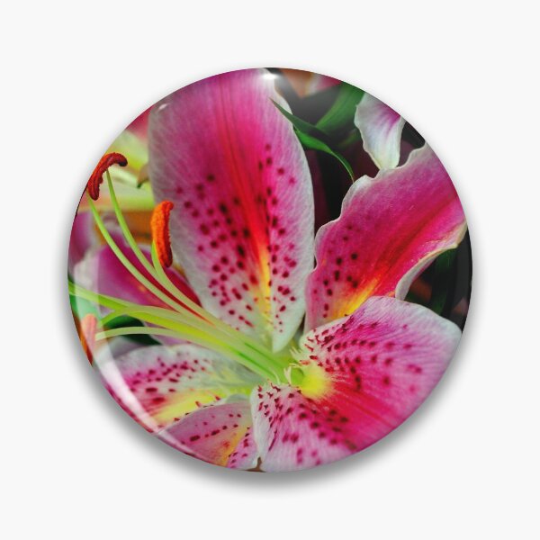 Item preview, Pink Lily Lilium Herbaceous Flowering Plants designed and sold by AndyEvansPhotos.