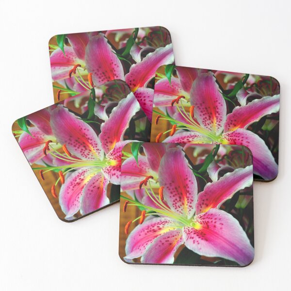 Item preview, Pink Lily Lilium Herbaceous Flowering Plants designed and sold by AndyEvansPhotos.