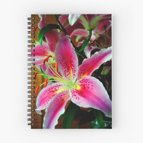 Item preview, Pink Lily Lilium Herbaceous Flowering Plants designed and sold by AndyEvansPhotos.