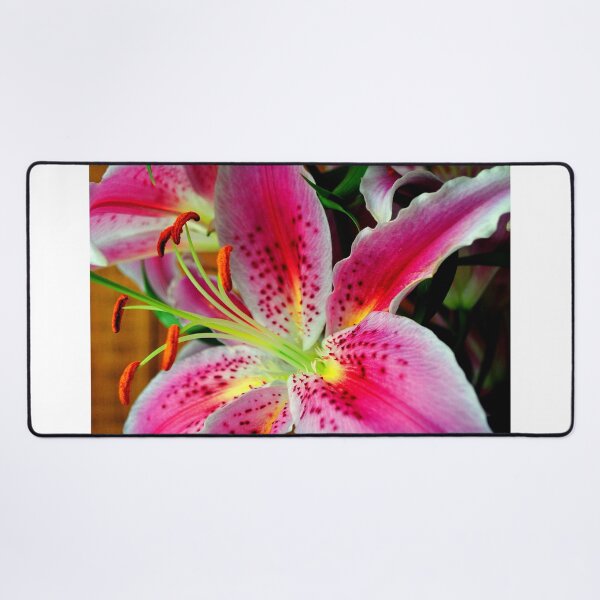 Item preview, Pink Lily Lilium Herbaceous Flowering Plants designed and sold by AndyEvansPhotos.