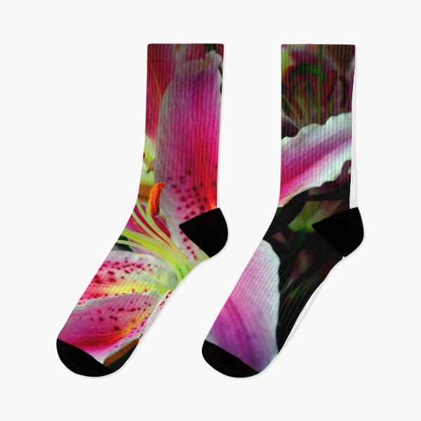 Item preview, Pink Lily Lilium Herbaceous Flowering Plants designed and sold by AndyEvansPhotos.