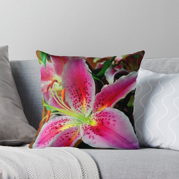 Item preview, Pink Lily Lilium Herbaceous Flowering Plants designed and sold by AndyEvansPhotos.