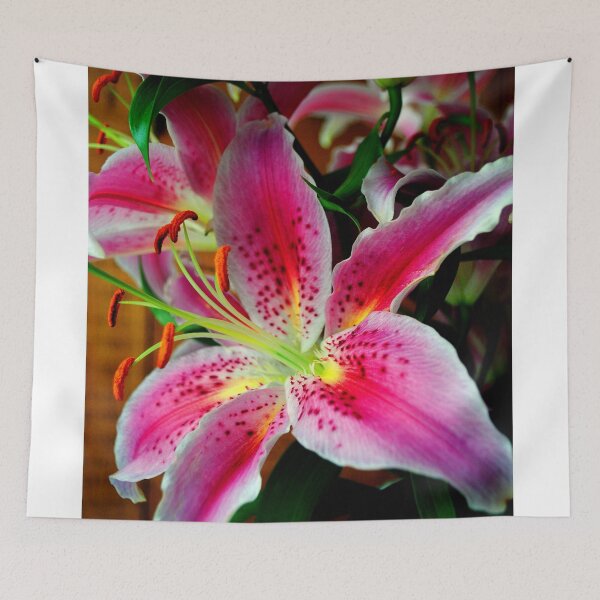 Item preview, Pink Lily Lilium Herbaceous Flowering Plants designed and sold by AndyEvansPhotos.
