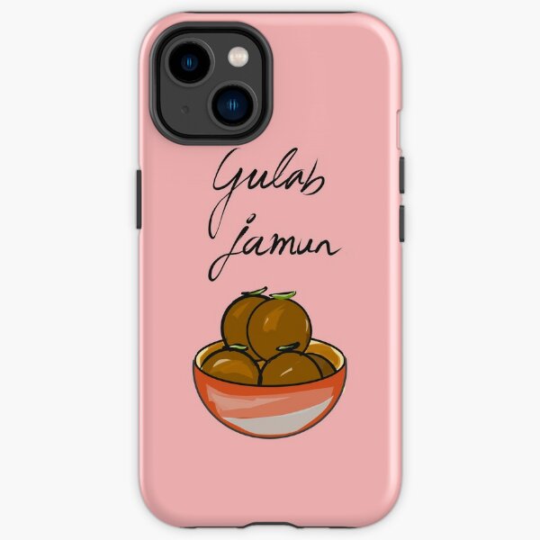 17kg Gulab Jamun Gift Pack Manufacturer Supplier from Bhiwani Haryana