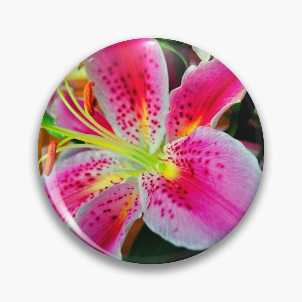 Item preview, Pink Lily Lilium Herbaceous Flowering Plants designed and sold by AndyEvansPhotos.
