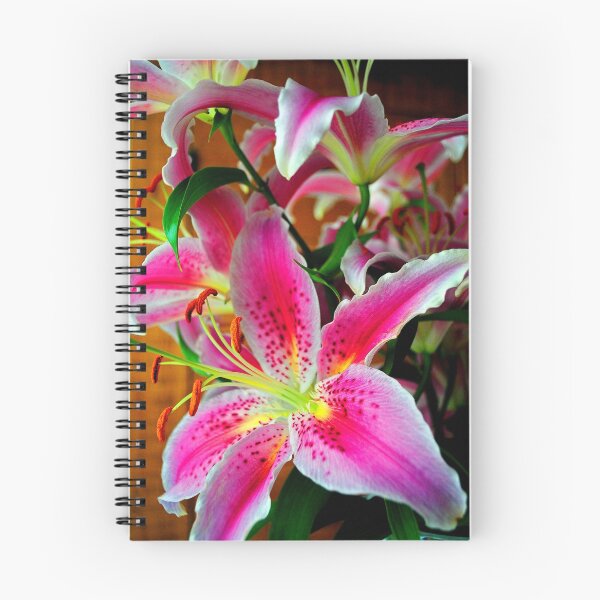 Item preview, Pink Lily Lilium Herbaceous Flowering Plants designed and sold by AndyEvansPhotos.