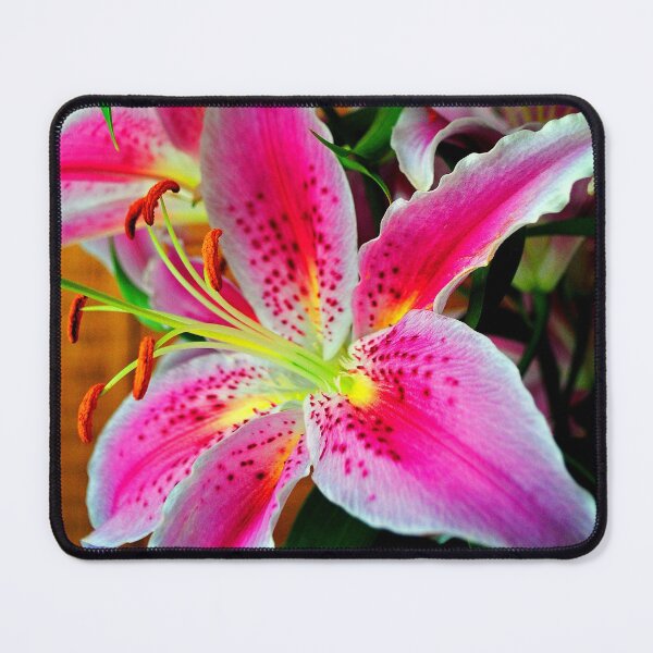 Item preview, Pink Lily Lilium Herbaceous Flowering Plants designed and sold by AndyEvansPhotos.
