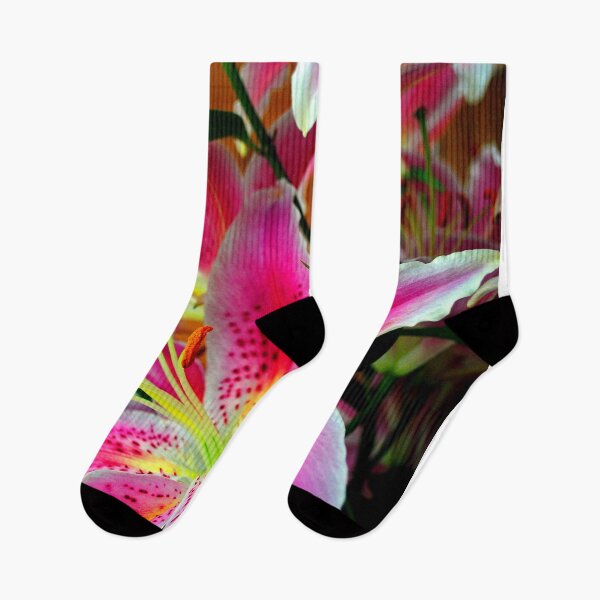 Item preview, Pink Lily Lilium Herbaceous Flowering Plants designed and sold by AndyEvansPhotos.