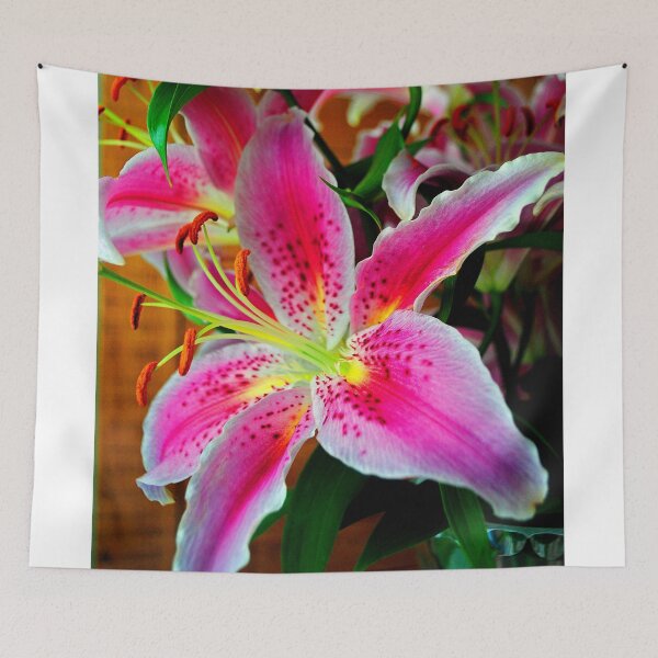 Item preview, Pink Lily Lilium Herbaceous Flowering Plants designed and sold by AndyEvansPhotos.