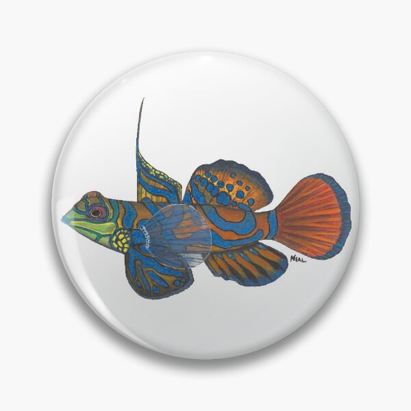 Item preview, Mandarin Goby (Synchiropus splendidus) designed and sold by LeakyCanoeArt.