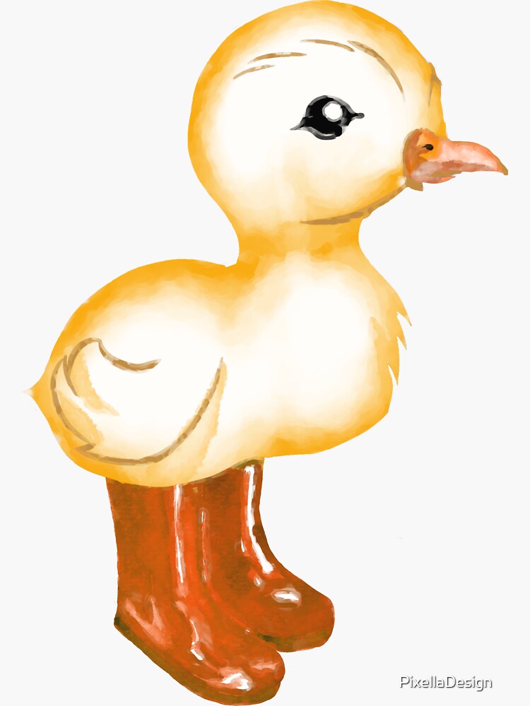 Duck in cheap rain boots