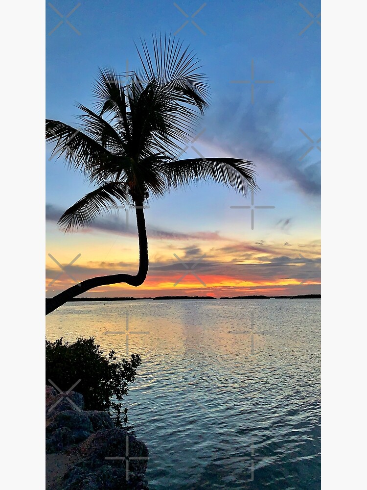"Sunset palm tree Florida Keys Islamorada Tropical Island Scenic