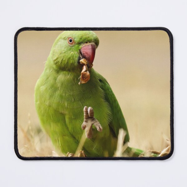 Item preview, Parrot, bird, animal designed and sold by zero-g.