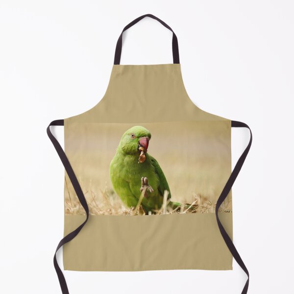 Item preview, Parrot, bird, animal designed and sold by zero-g.