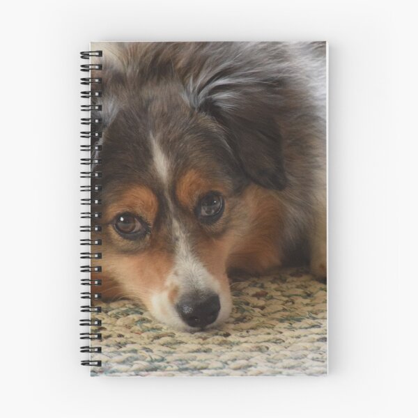 Item preview, MiniAussie Mix designed and sold by VC Art and Photography.