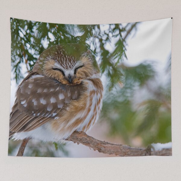 Item preview, Sleepy Time designed and sold by Owl-Images.