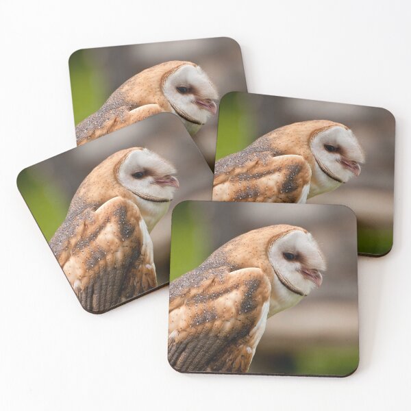 Item preview, Barn Owl designed and sold by Owl-Images.
