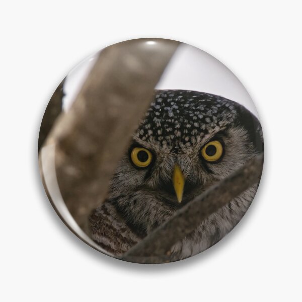 Item preview, Whooooose There designed and sold by Owl-Images.