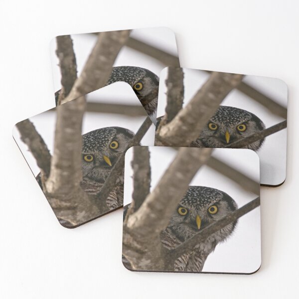 Item preview, Whooooose There designed and sold by Owl-Images.