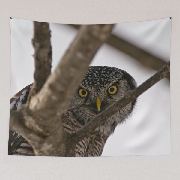 Item preview, Whooooose There designed and sold by Owl-Images.
