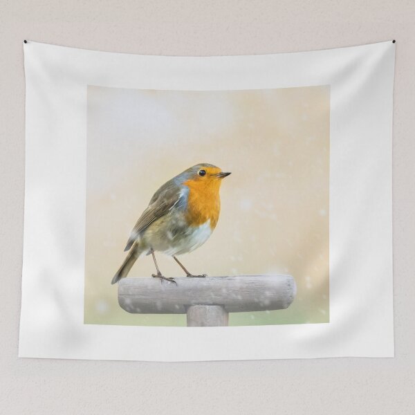 Item preview, Robin in Winter designed and sold by Jane Stanley Photography.