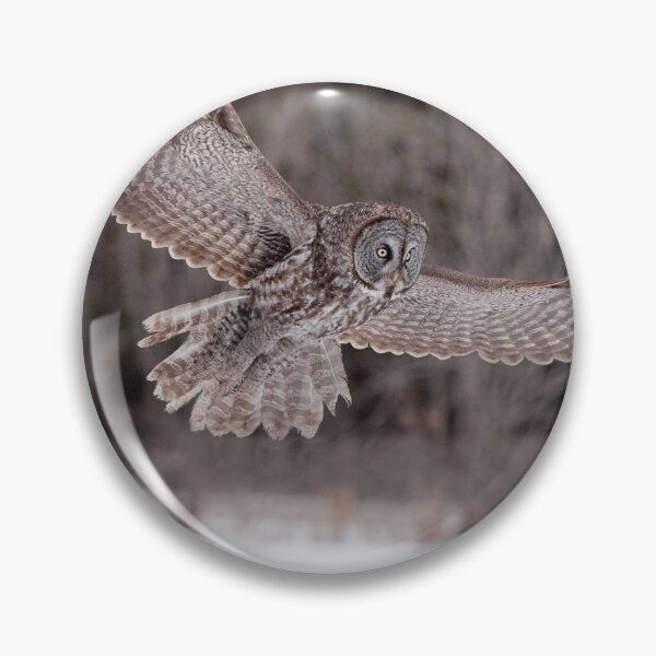 Item preview, Great Grey Owl designed and sold by Owl-Images.