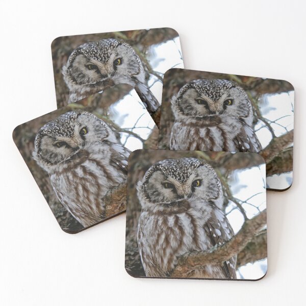 Item preview, Boreal Owl designed and sold by Owl-Images.
