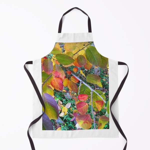 Item preview, Fall Colours 1 designed and sold by mary-lynne stadler.