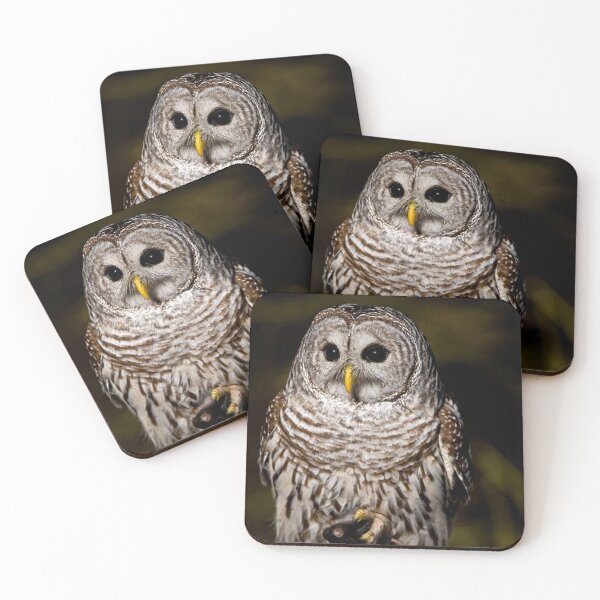 Item preview, Barred Owl designed and sold by Owl-Images.