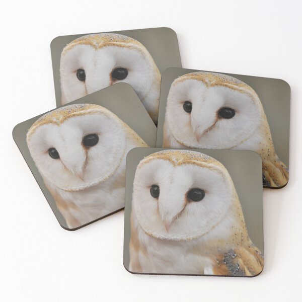 Item preview, Barn Owl designed and sold by Owl-Images.