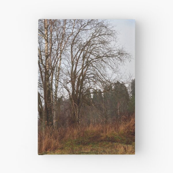 Item preview, Tree musceters designed and sold by Jouko Lehto Photography.
