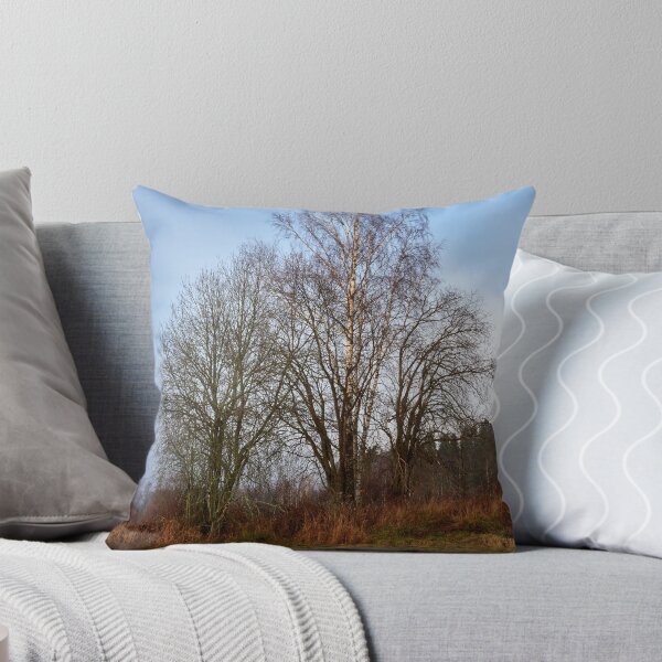 Item preview, Tree musceters designed and sold by Jouko Lehto Photography.