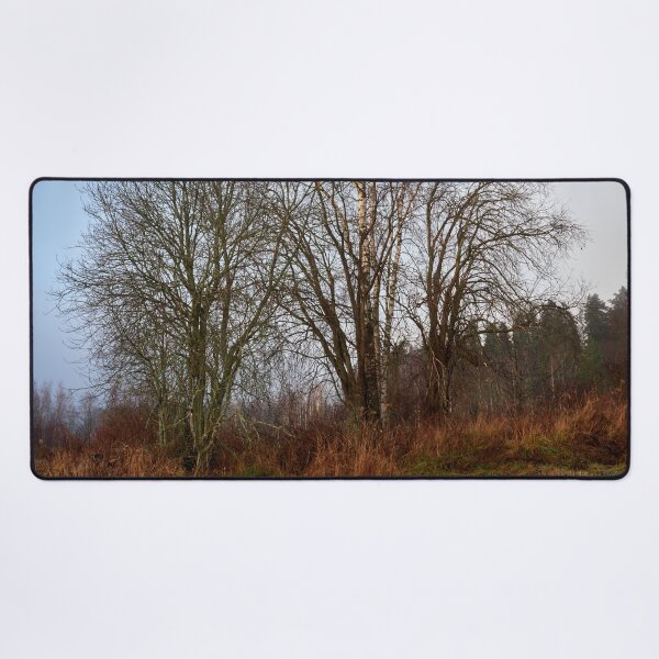 Item preview, Tree musceters designed and sold by Jouko Lehto Photography.