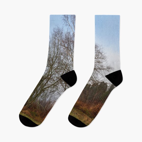 Item preview, Tree musceters designed and sold by Jouko Lehto Photography.