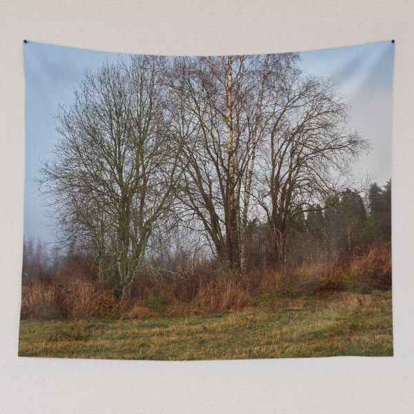 Item preview, Tree musceters designed and sold by Jouko Lehto Photography.