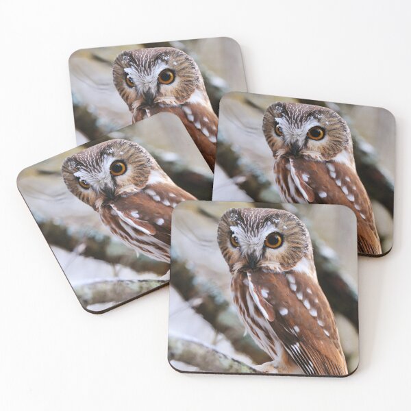 Item preview, Northern Saw-whet Owl designed and sold by Owl-Images.