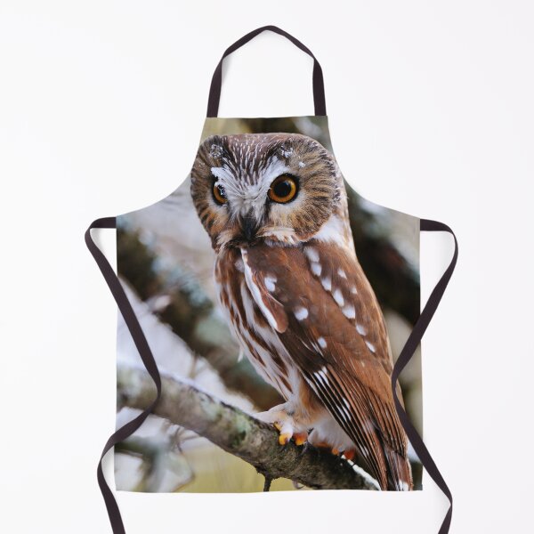 Item preview, Northern Saw-whet Owl designed and sold by Owl-Images.