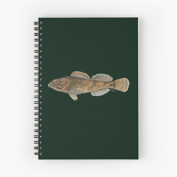 Artikelvorschau, Gesprenkelte Sculpin (Cottus Bairdii) entworfen und verkauft von LeakyCanoeArt.
