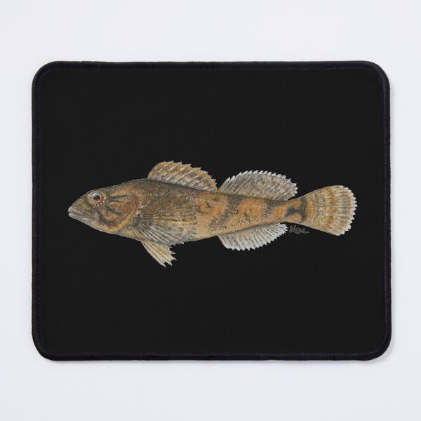 Item preview, Mottled Sculpin (Cottus bairdii) designed and sold by LeakyCanoeArt.