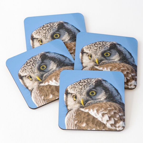 Item preview, Northern Hawk Owl designed and sold by Owl-Images.